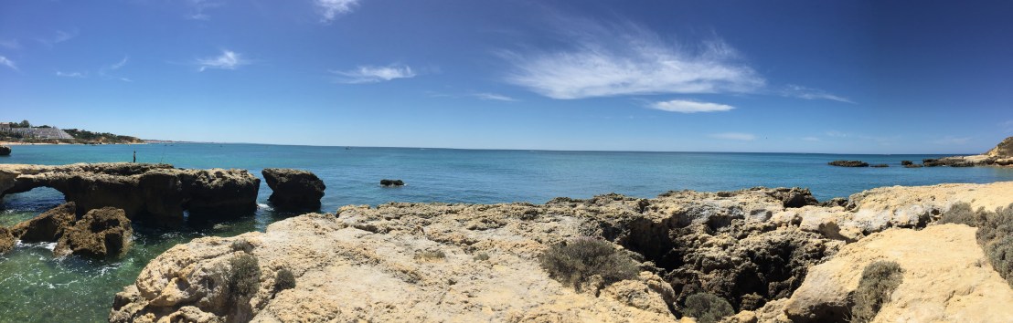 51D1DC1E-D49A-41E3-A5D9-EE8617CA4409